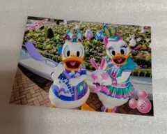 東京ディズニーランド　イースター　スペフォ　ドナルド　デイジー