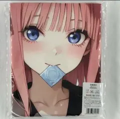 Item thumbnail for item e5176ef8-3e6f-47d4-88bd-6cf730a29e73