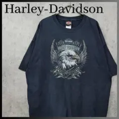 イーグルスEAGLES2003ツアー古着フェードTシャツXXLバンドT ロックT イーグルスEAGLES2003ツアー古着フェードTシャツXXLバンドT ロックT