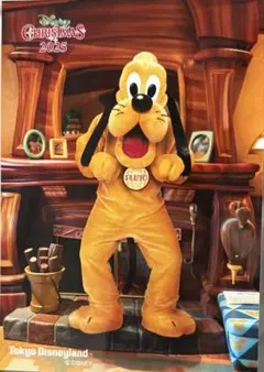 2026年最新】プルート クリスマスの人気アイテム - メルカリ