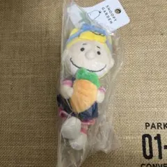 【匿名配送】未開封 サリー・ブラウン マスコット 済州島 スヌーピーガーデン限定