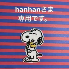 hanhan様 リクエスト 10点 まとめ商品