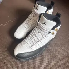 Air Jordan 12 taxi 26cmのサムネイル
