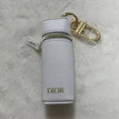 DIOR プラチナ会員　ウェルカムギフト　リップケース