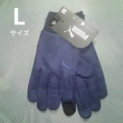 Item thumbnail for item 71a44f95-8c5a-4494-a52e-48e6230591fc