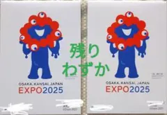 非売品 未使用 大阪 関西万博 ミャクミャク EXPO メモ帳 2つ