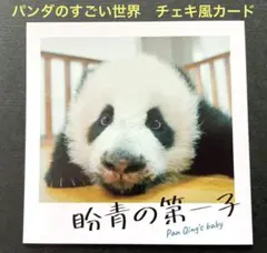 2026年最新】シャンシャン 非売品の人気アイテム - メルカリ