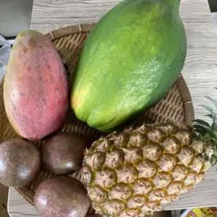 石垣島産　　フルーツセットのサムネイル