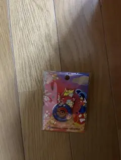 ポケモンセンターヒロシマ　ロゴピンズ　ギャラドス　ピカチュウ　限定