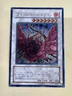 2026年最新】レリーフ ブラックローズドラゴンの人気アイテム - メルカリ