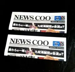 ワンピース NEWS COO USJ 25周年 フライヤー２枚 非売品
