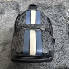 【まさか様専用】COACH ストライプデザイン ショルダーバッグ