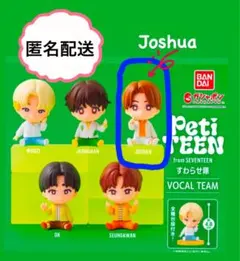 seventeen petiteen すわらせ隊　ガチャ　ジョシュア
