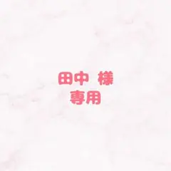 田中【まとめ買い可】様専用 提出2