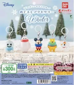 ディズニー めじるしアクセサリー ゼロ2個