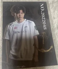 第五人格 IJL ポスカ vanpyi セット