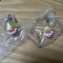 JOCHUM もこ めじるしアクセサリー 大平祥生 ジェオチャム 2個セット