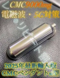 Item thumbnail for item bb52c9d6-fc39-421e-a4b6-62c7e7f39ab2