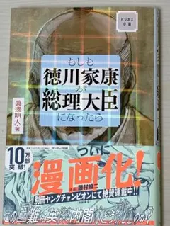 もしも徳川家康が総理大臣になったら ビジネス小説