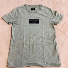 Abercrombie & Fitch グレー Tシャツ　XSサイズ