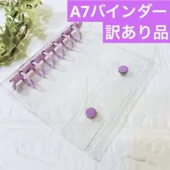 Item thumbnail for item 1d5ae6c8-44dd-476d-a234-191dd3687ee9