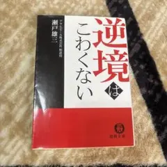 Item thumbnail for item 06421c32-adfa-4bff-97fe-e769a1674e98