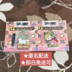 【匿名配送】一番くじ　SPY×FAMILY ラバーコレクション 2個セット
