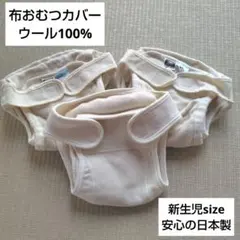 Item thumbnail for item 07d0a037-55dc-4d73-a927-da1c43420fd5