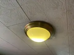 Item thumbnail for item 742aa828-e44c-4763-8efd-6a31b0de039d