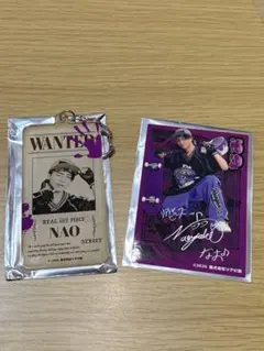 Item thumbnail for item 7c6f8308-ffdc-47df-b241-67bc0369b3d5