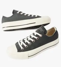 Item thumbnail for item eaced265-cca9-40fe-b4f6-e12c9d9523ea