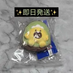 TREASURE TRUZ FRUITFARM ポドン ジョンファン - メルカリ