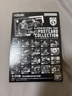 男子日本代表バレーボール　ポストカードコレクション 番佐藤俊一郎