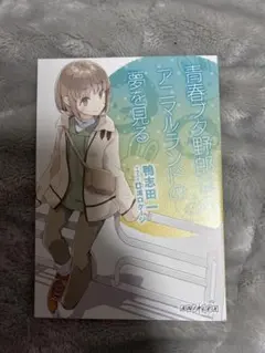 Item thumbnail for item ddec67c3-953f-4b27-8702-3f5ca962fd25