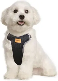 Item thumbnail for item 1e64daf8-2465-4fe7-961f-90b7994c24a6