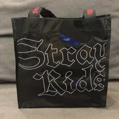 【タイムセール】straykids dominATE アプグレグッズ 【抜け無】