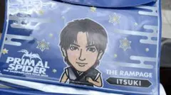 Item thumbnail for item ed0fd222-e01c-41c4-ad85-dcc17ef5583d