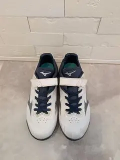 Item thumbnail for item 0efa0e97-d7b8-43df-8fc0-d18083251fbe