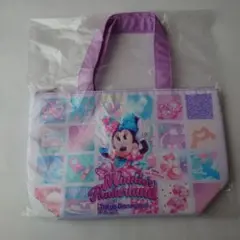 ディズニー　パルパルーザ　スーベニアランチバッグ