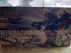 MG エールストライクガンダムver.RM+フリーダムガンダムver.2.0のサムネイル