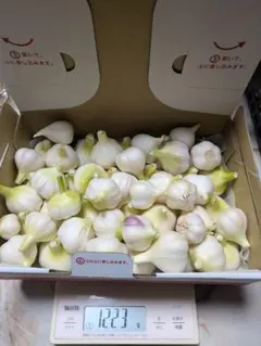 採れたて！生にんにく 1キロ 淡路島産 無農薬10 - メルカリ