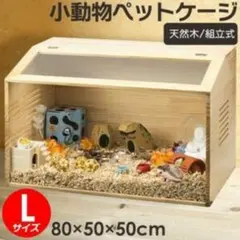 2025年最新】イグアナ ケージの人気アイテム - メルカリ