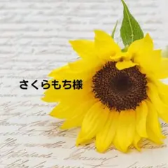 ☆さくらもち様☆ 白目むきながら心理カウンセラーやってます 白目みさえ