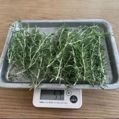 フレッシュローズマリー　約50g