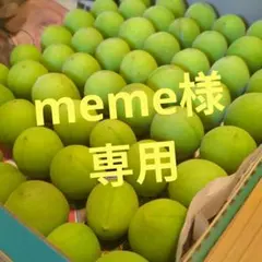 meme様　専用ページです(⁠^⁠^⁠)
