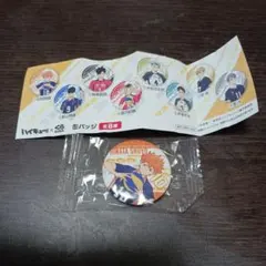 ハイキュー!! 日向翔陽 缶バッジ