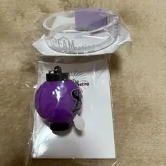 timelesz 菊池風磨 ファンミ バングル、ちょうちん