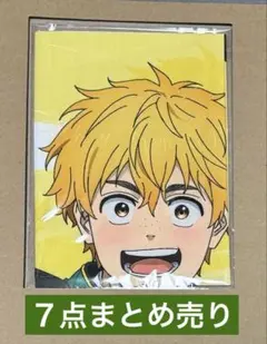 WIND BREAKER 楡井 秋彦　まとめ売り