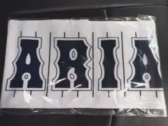 有明高校 野球部 応援タオル