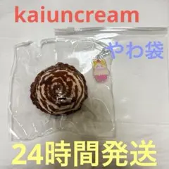 kaiuncream マーブルチョコアイス Mサイズ(やわ袋)
